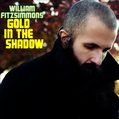 William Fitzsimmons — Gold In The Shadow (Bonus Track) 앨범 커버