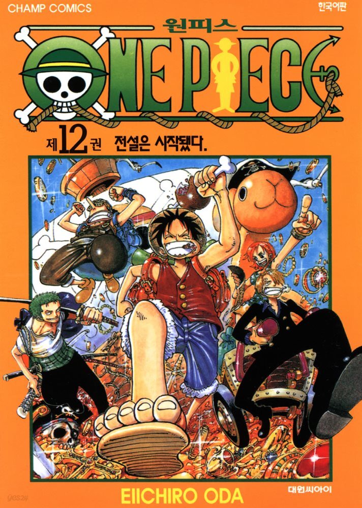 원피스 12