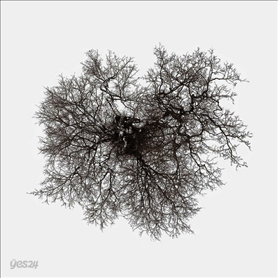 John Metcalfe - Tree (LP)