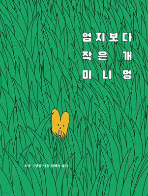 책 정보