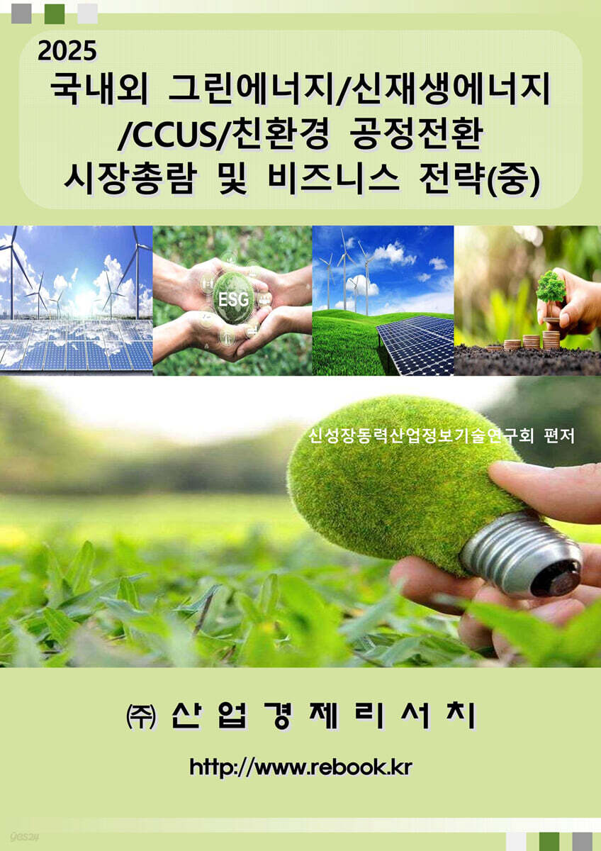 2025 국내외 그린에너지/신재생에너지/CCUS/친환경 공정전환 시장총람 및 비즈니스 전략 (중)