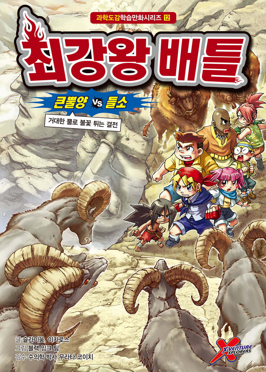 최강왕 배틀 12