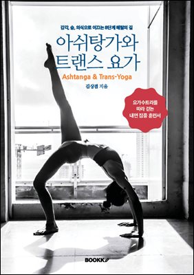 아쉬탕가와 트랜스 요가