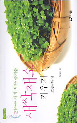 새싹채소 키우기