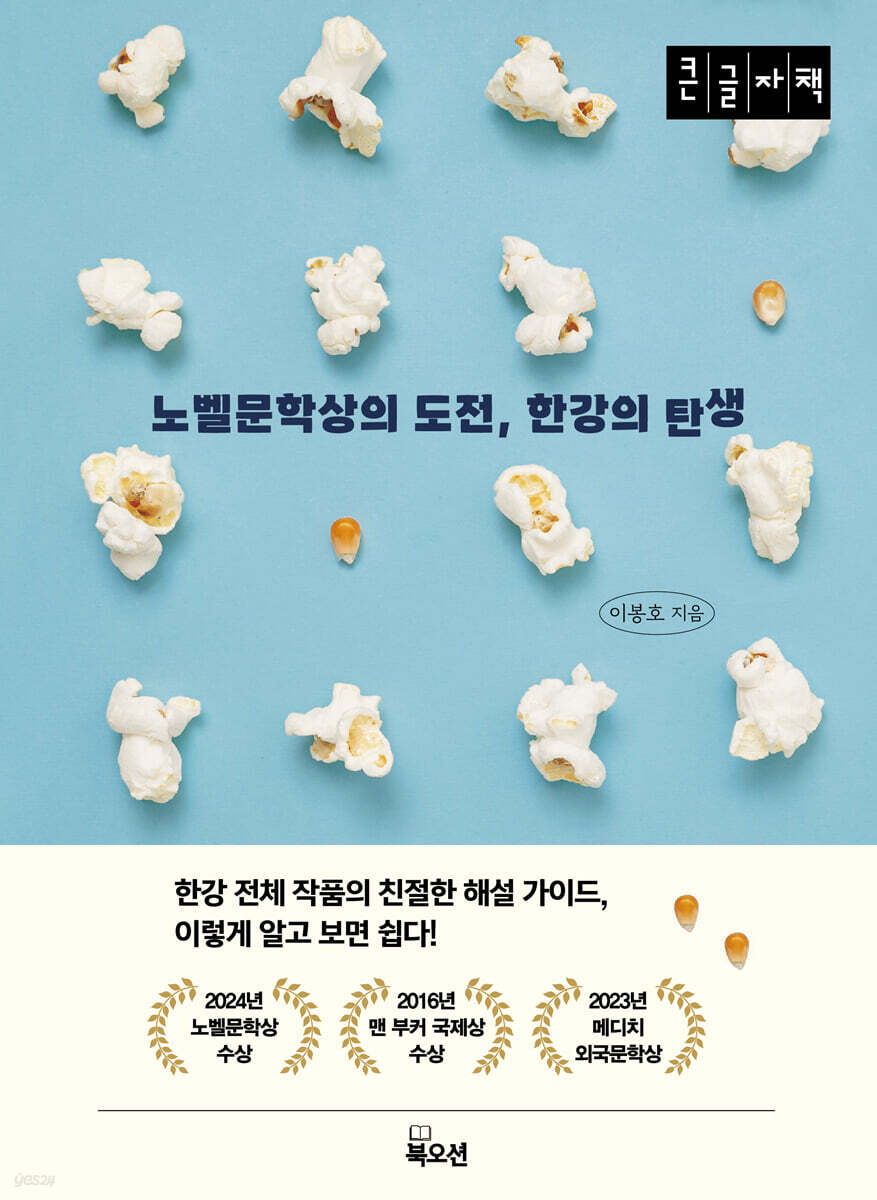 노벨문학상의 도전, 한강의 탄생 (큰글자책)