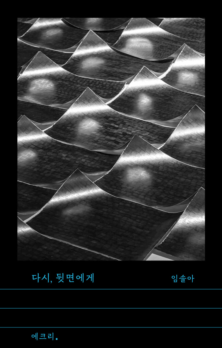 다시, 뒷면에게 | 임솔아 | 문학과지성사 - 예스24