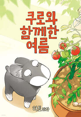 책 정보