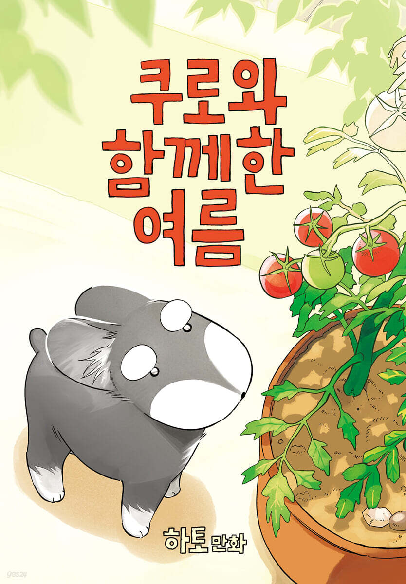 쿠로와 함께한 여름