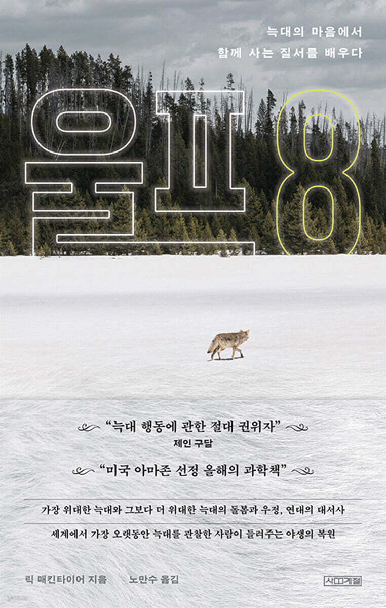 울프 8