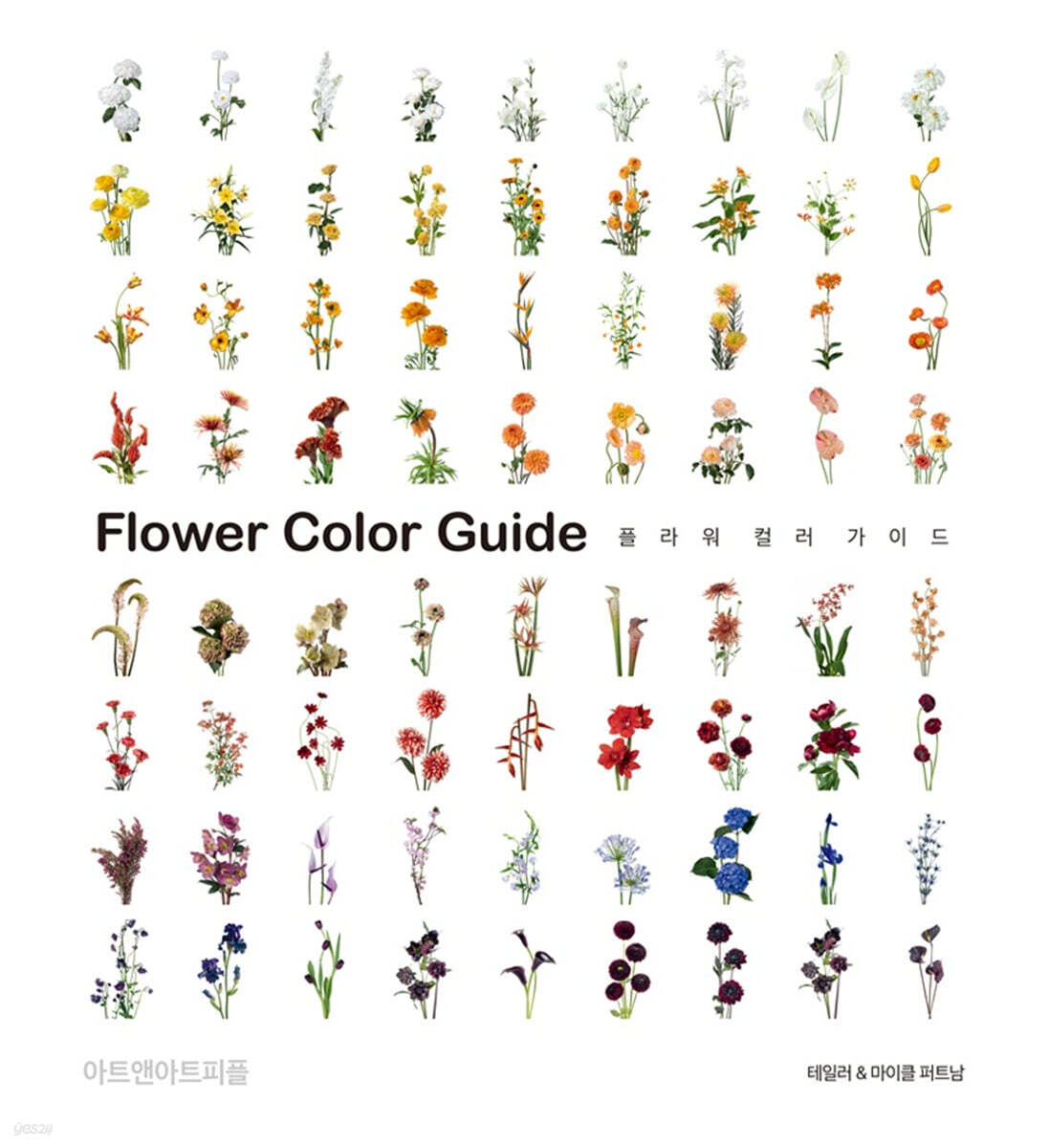 플라워 컬러 가이드 Flower Color Guide