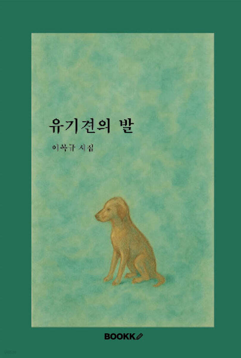 유기견의 발