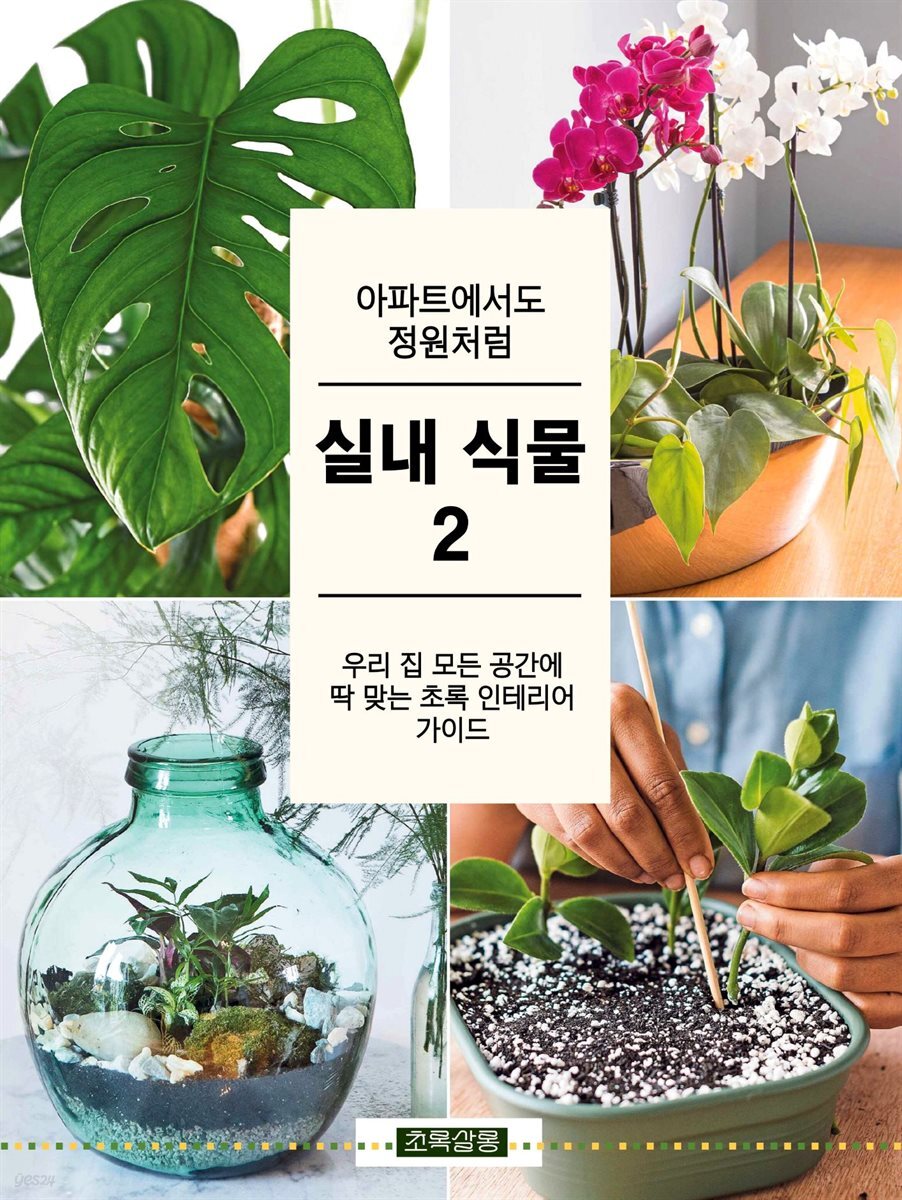 아파트에서도 정원처럼 실내 식물 2