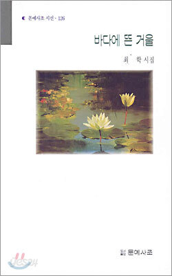 바다에 뜬 거울