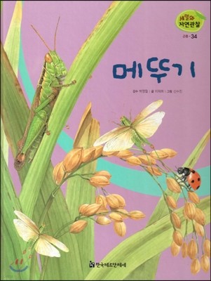 세밀화 자연관찰 곤충 34 메뚜기