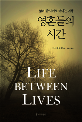 영혼들의 시간 : 삶과 삶 사이로 떠나는 여행