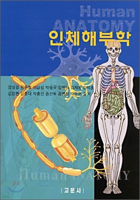 인체해부학