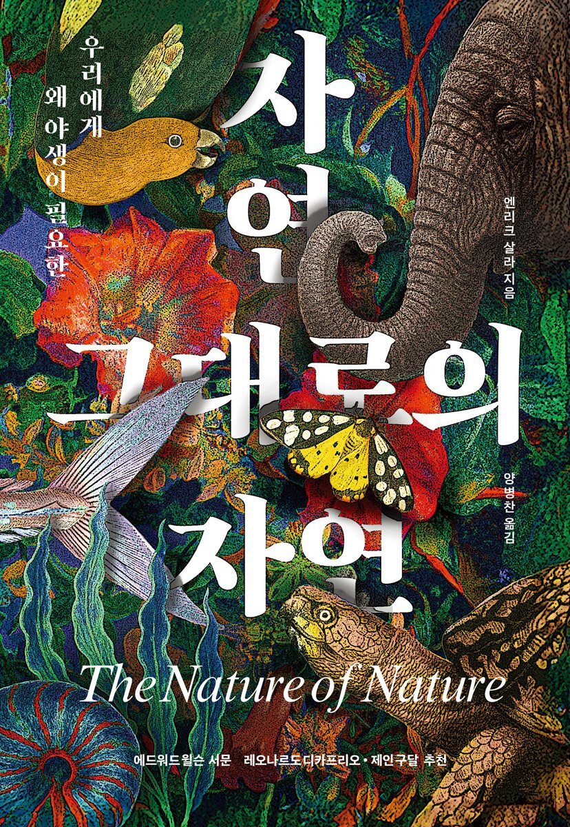 자연 그대로의 자연