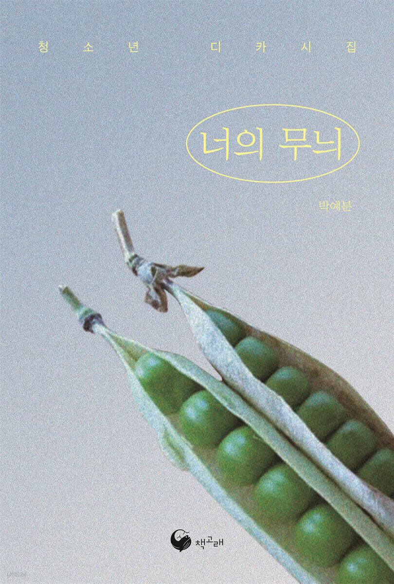 너의 무늬(장애인 접근성 강화 도서)