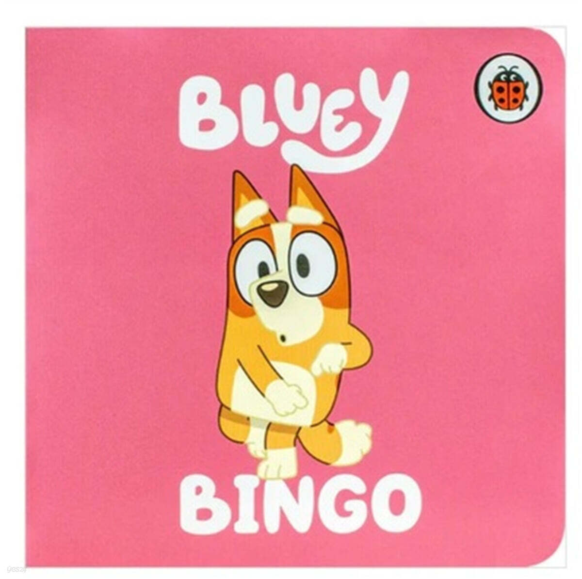 Bluey : Bingo
