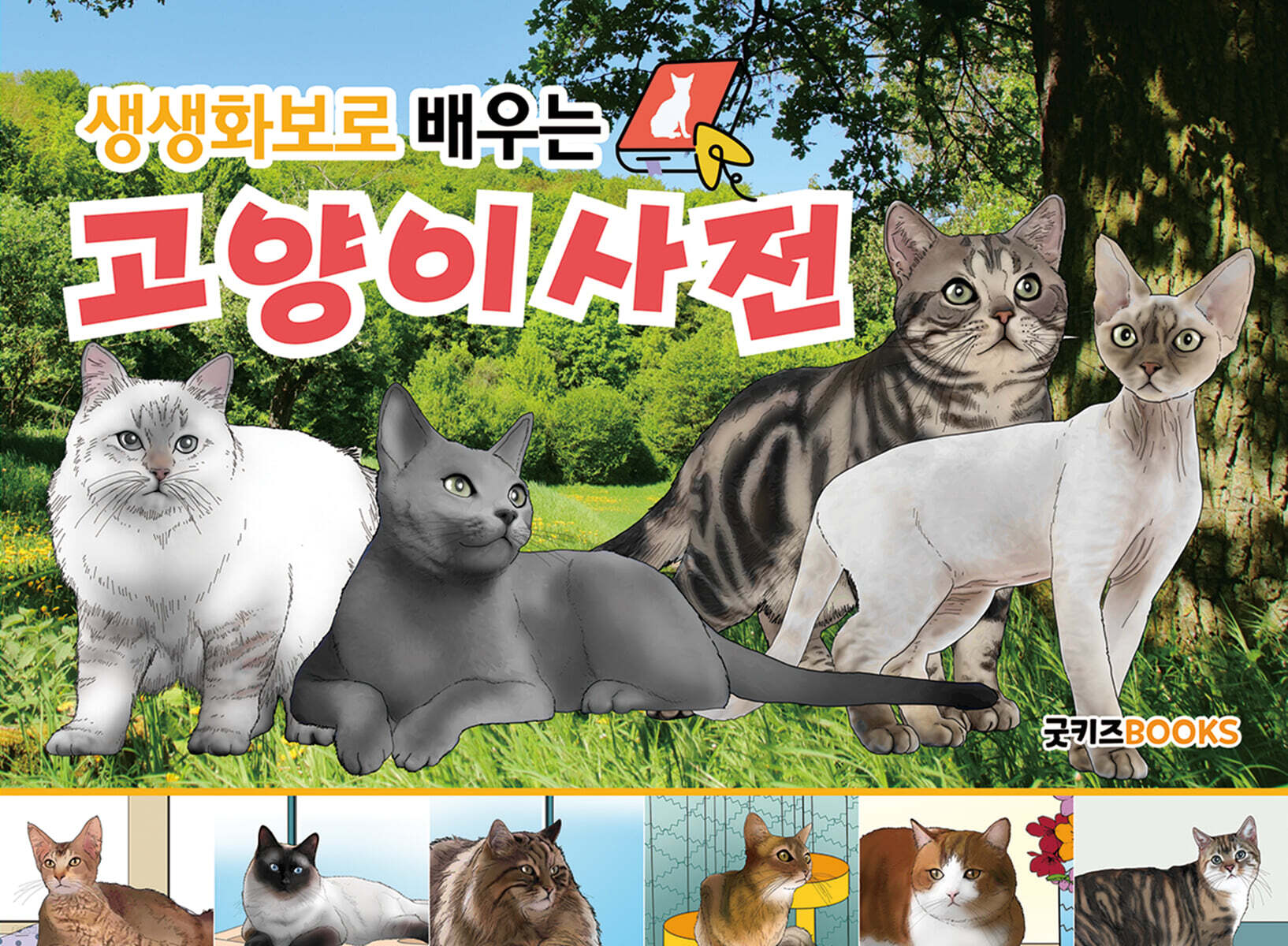 생생화보로 배우는 고양이사전