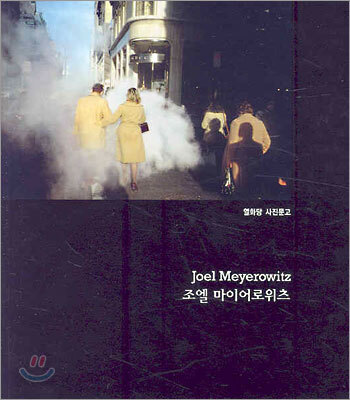 조엘 마이어로위츠 Joel Meyerowitz