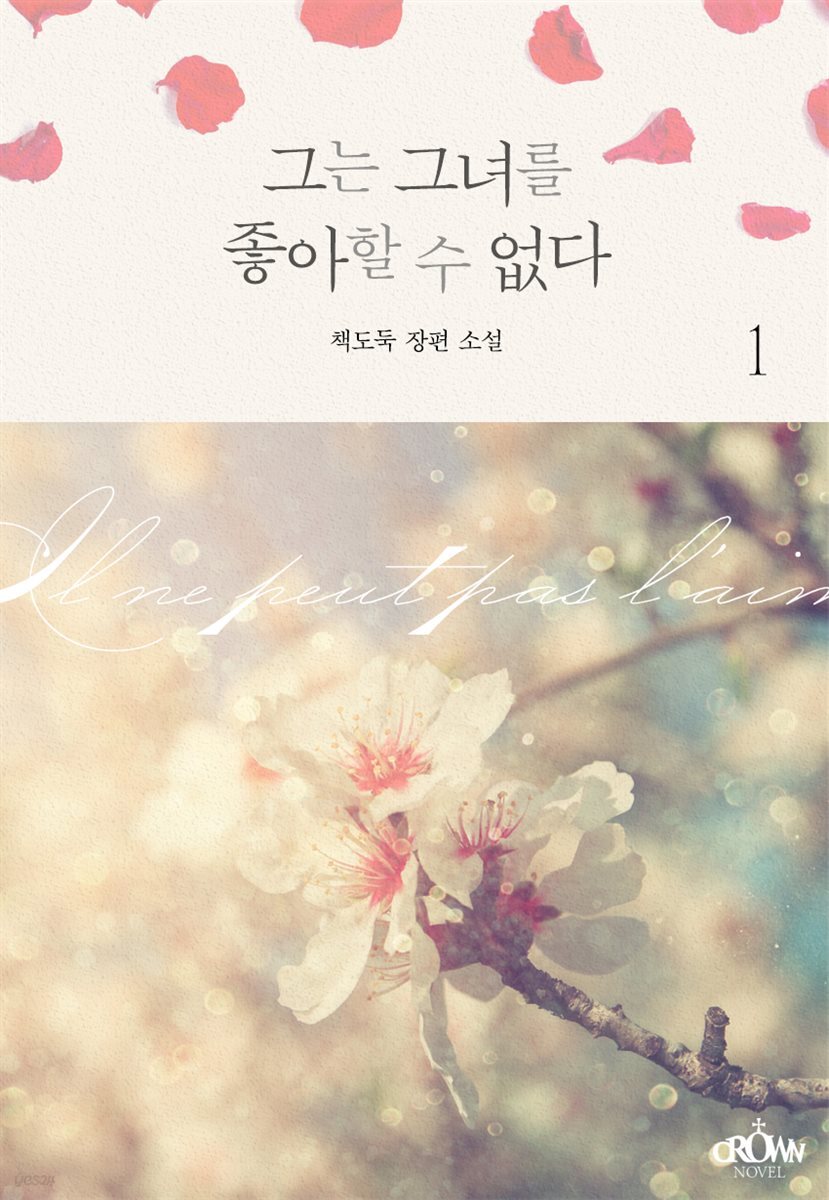 그는 그녀를 좋아할 수 없다 1권