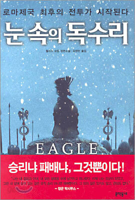 눈 속의 독수리