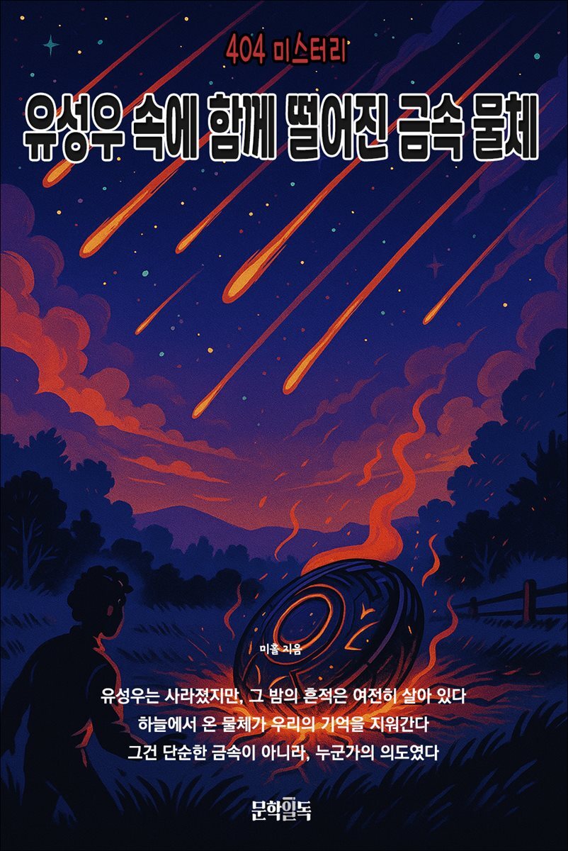 유성우 속에 함께 떨어진 금속 물체