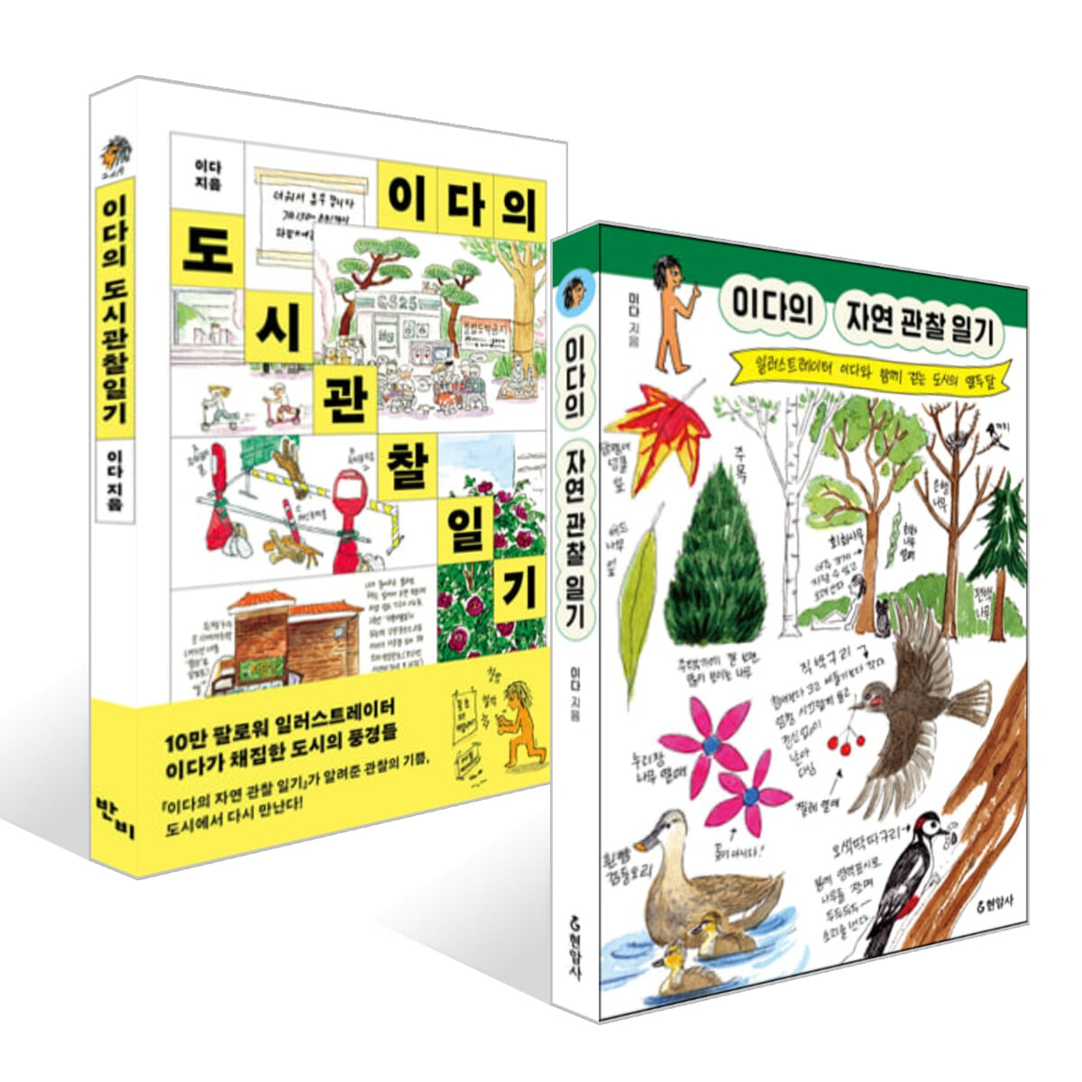 이다의 자연 관찰 일기 + 이다의 도시관찰일기 세트