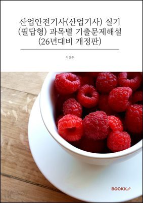 산업안전기사(산업기사) 실기(필답형) 과목별 기출문제해설 (26년대비 개정판)