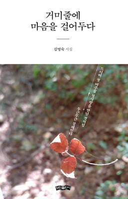 책 정보