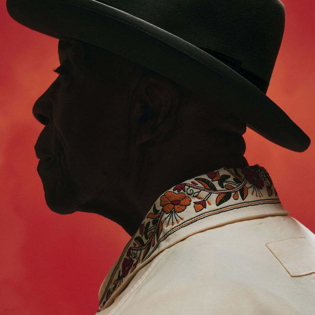 Buddy Guy (버디 가이) - 14집 Ain't Done With The Blues