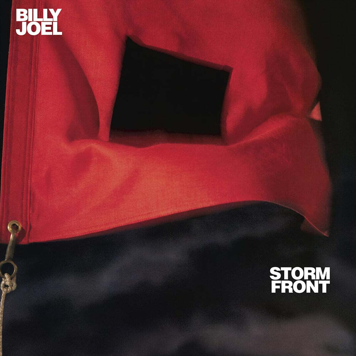 Billy Joel (빌리 조엘) - 11집 Storm Front [LP]