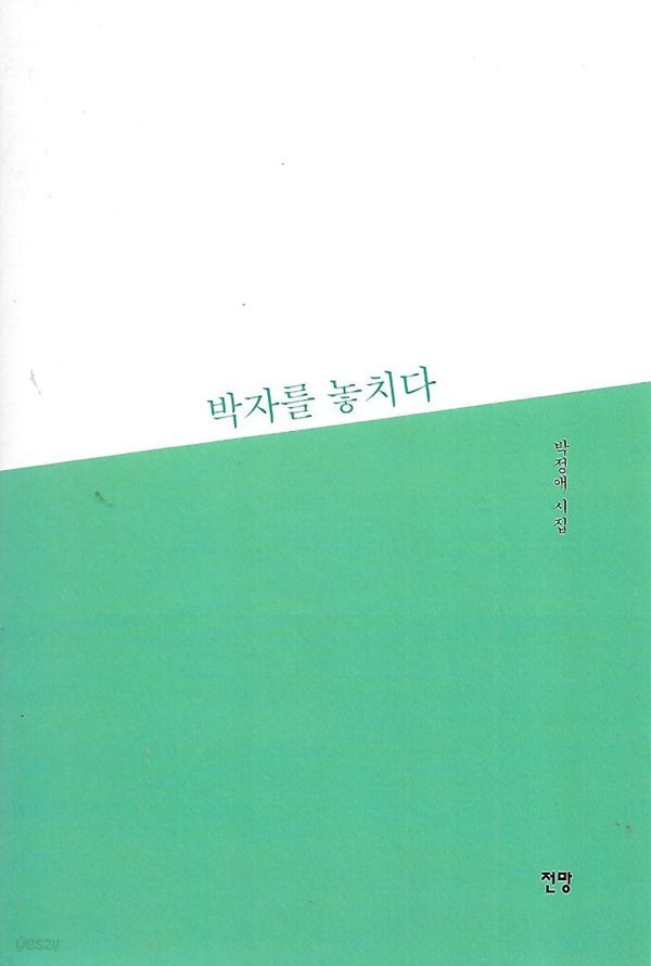 박정애 시집(초판본) - 박자를 놓치다