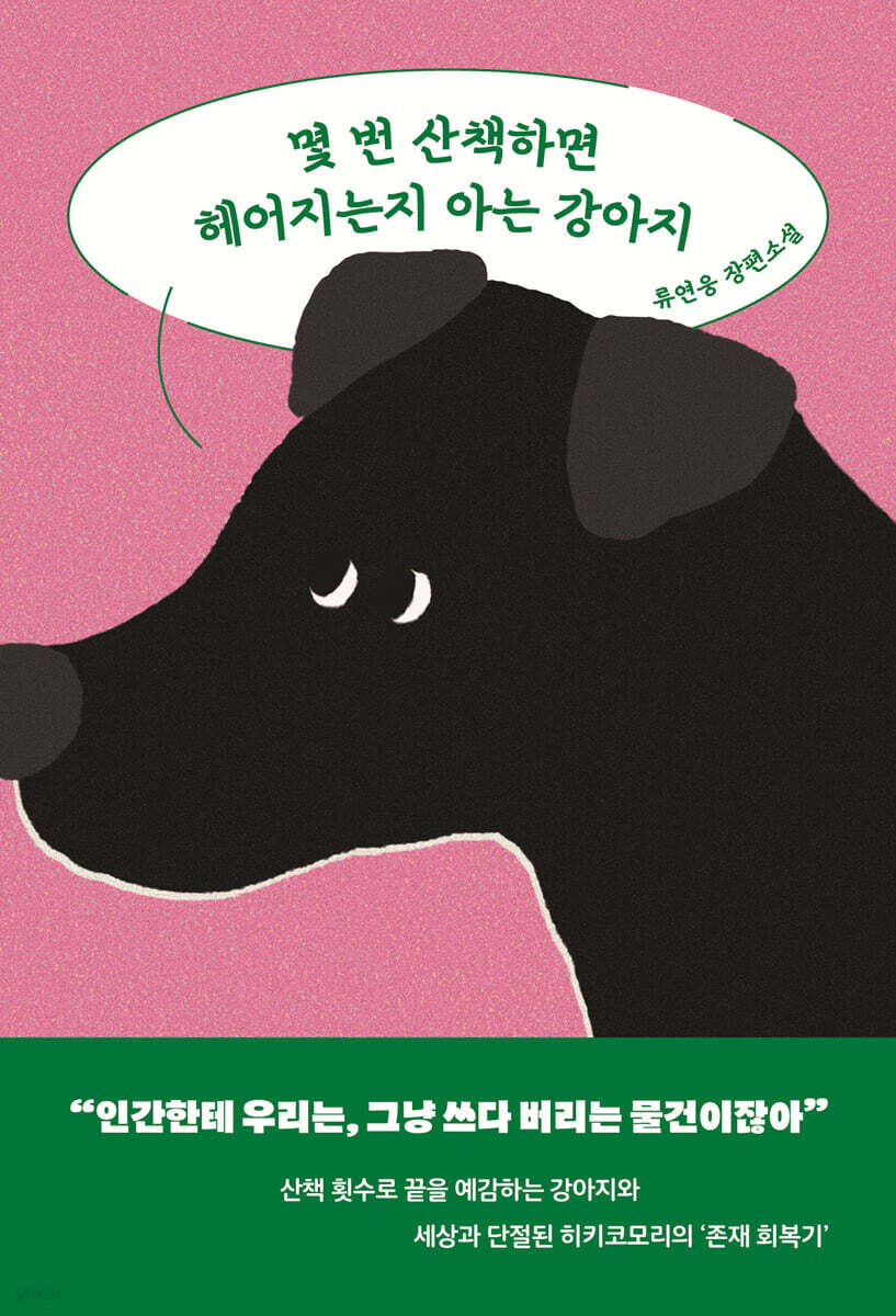 몇 번 산책하면 헤어지는지 아는 강아지