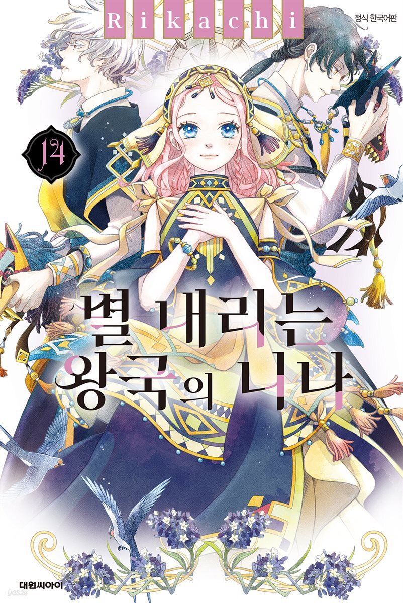 별 내리는 왕국의 니나 14권