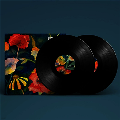 Adrianne Lenker — Songs & Instrumentals 앨범 커버