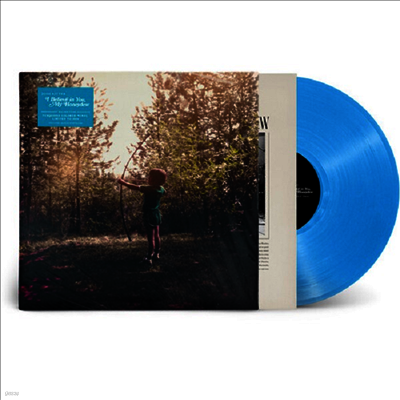 Josh Ritter — I Believe In You, My Honeydew (US Indie Exclusive) 앨범 커버