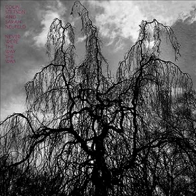 Colin Stetson — Never Were The Way She Was 앨범 커버
