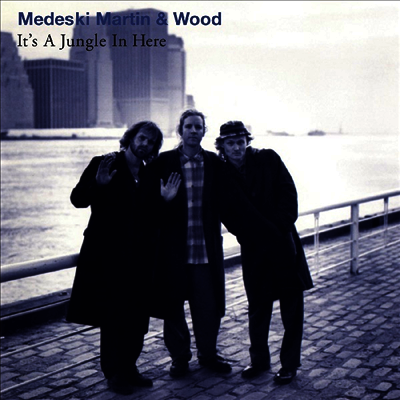Medeski, Martin & Wood — It's A Jungle In Here 앨범 커버