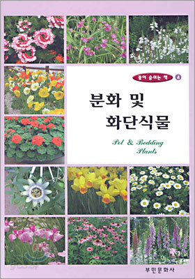 분화 및 화단식물