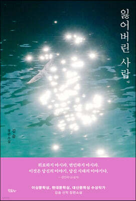 [장애인 접근성 강화 도서] 잃어버린 사람