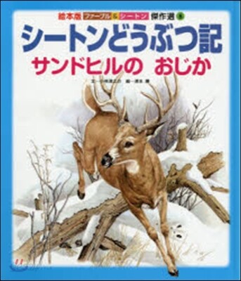 シ-トンどうぶつ記 サンドヒルのおじか