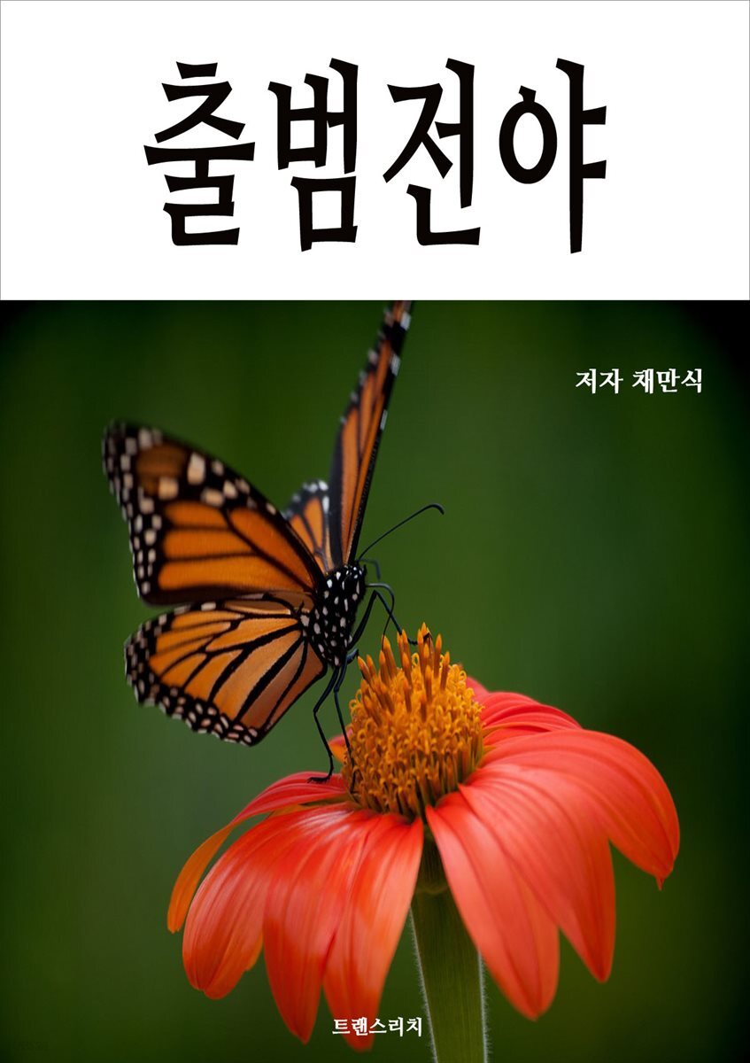출범전야