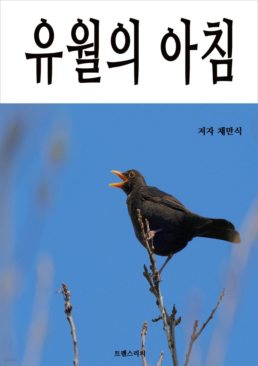 유월의 아침