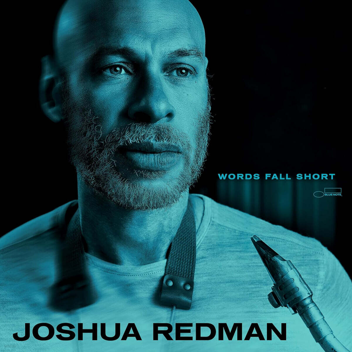 Joshua Redman (조슈아 레드맨) - Words Fall Short [LP]
