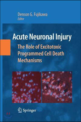 Acute Neuronal Injury: The Role of Excitotoxic Programmed Cell Death Mechanisms