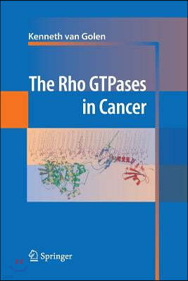 The Rho Gtpases in Cancer