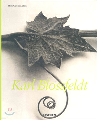 Karl Blossfeldt