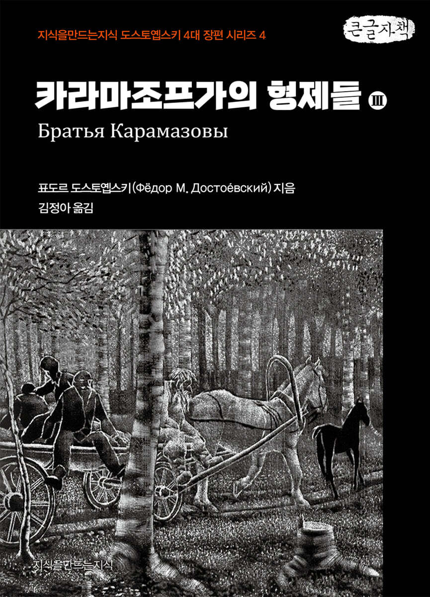 카라마조프가의 형제들 3 (큰글자책)